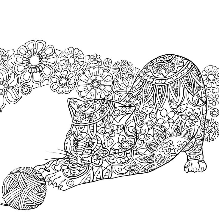 Cat Coloring Pages For Adults
