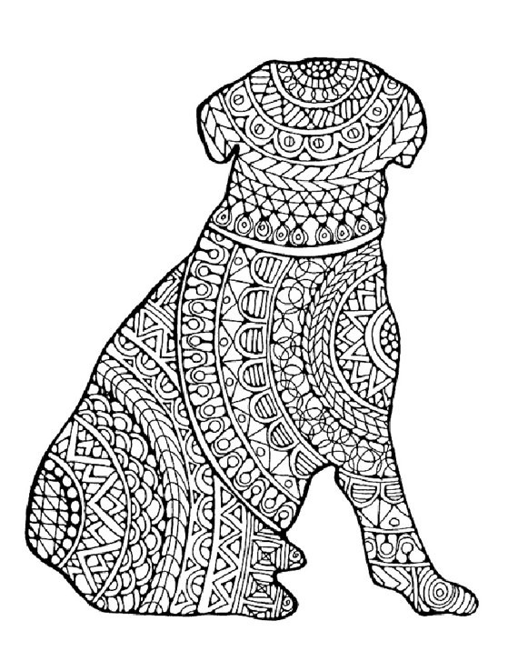 Coloring Pages For Adults Animals
