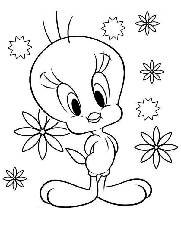 taz and tweety bird coloring pages - photo #16