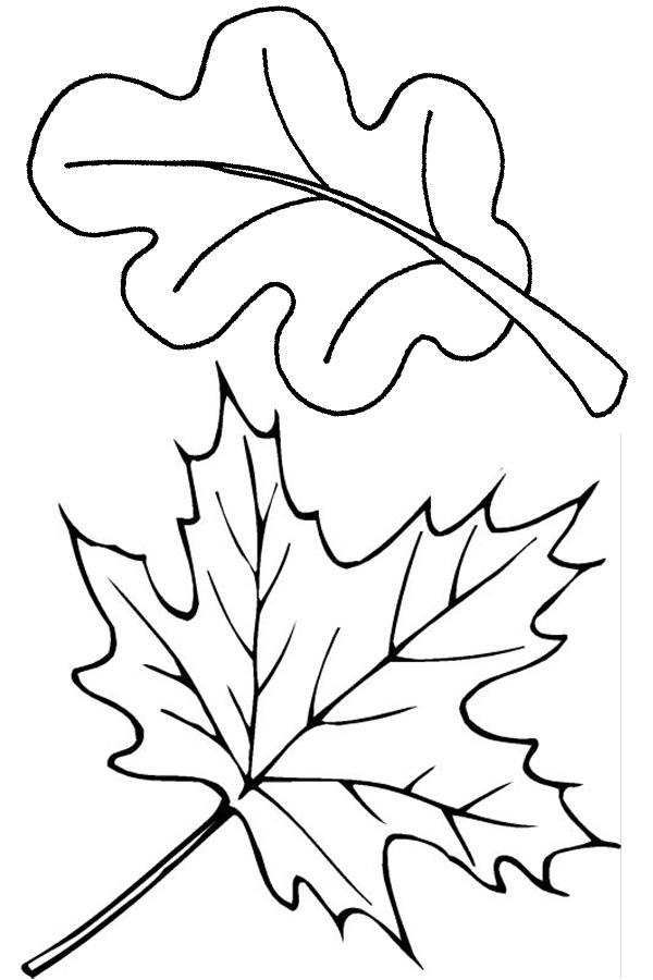 Fall Coloring Pages For Toddlers