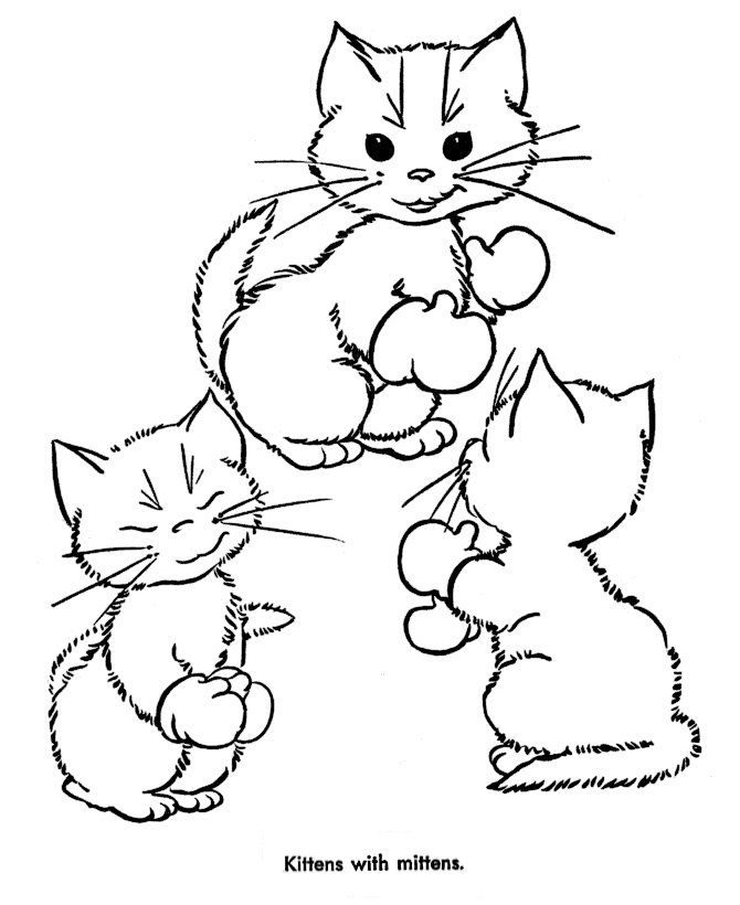 Kitten Coloring Pages To Print