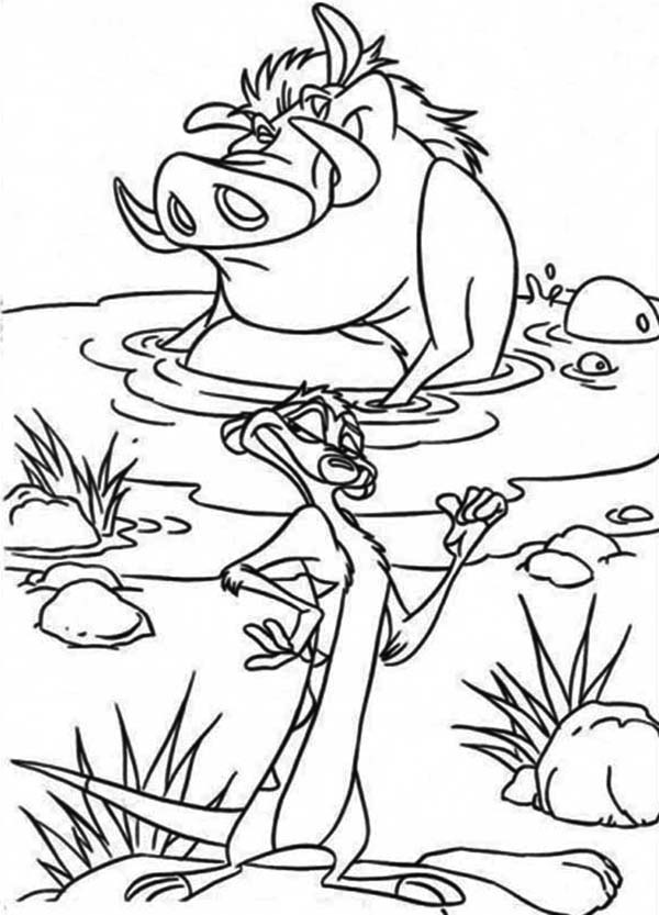 Lion King Coloring Pages Timon and Pumbaa