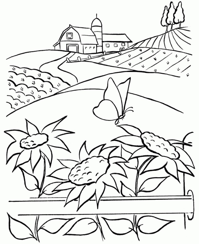Nature Coloring Pages For Adults 6