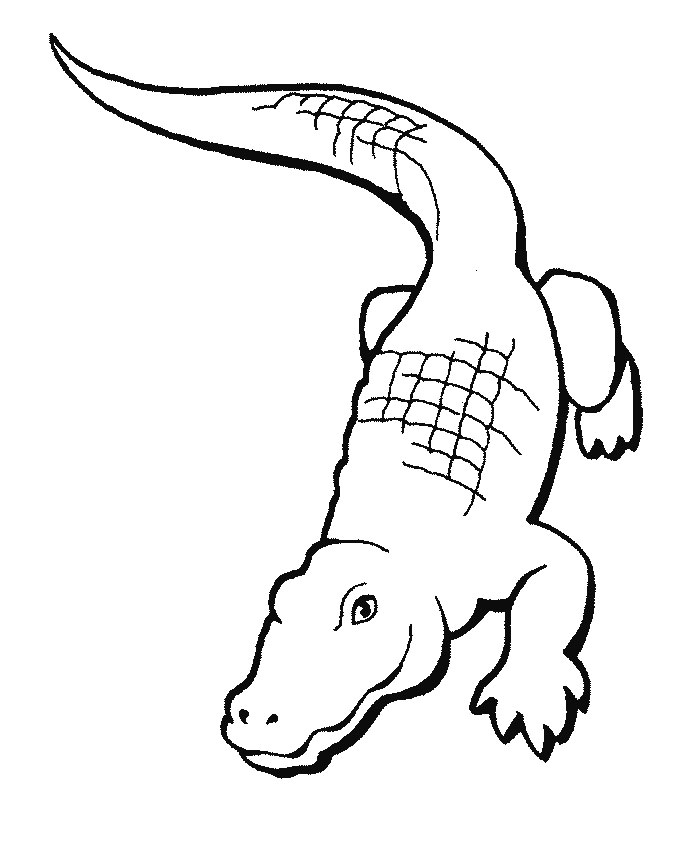 Cartoon Crocodile Coloring Pages