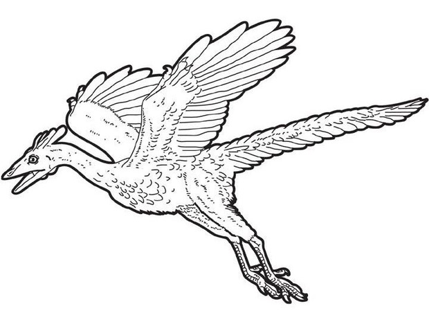 Flying Dinosaur Coloring Pages