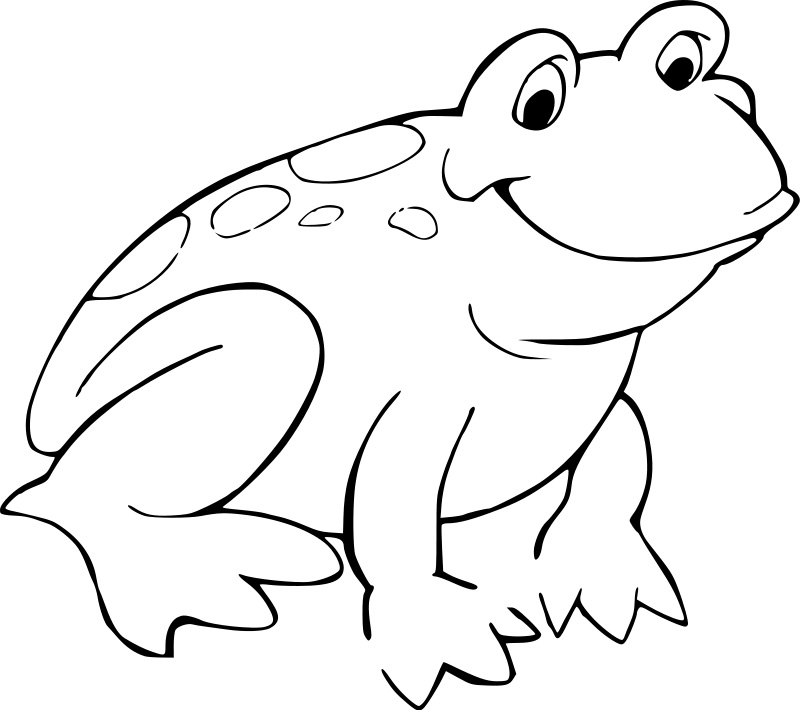 Frog Coloring Pages For Adults