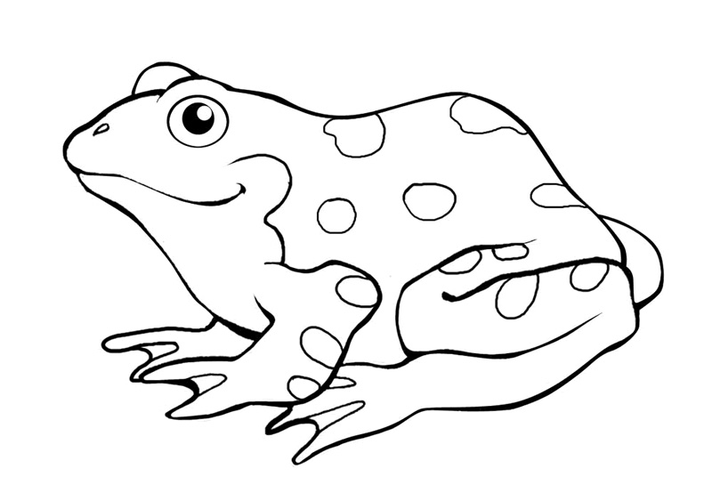 Frog Coloring Pages Printable Free
