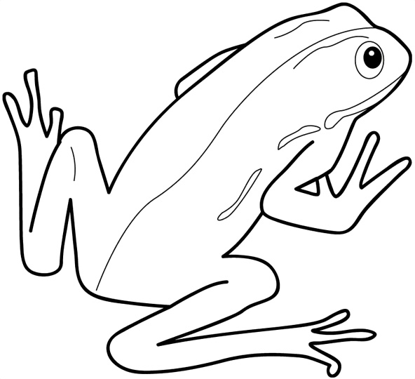 Frog Coloring Pages Printable