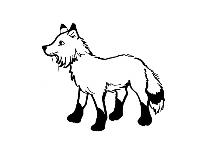 baby arctic fox coloring pages - photo #12