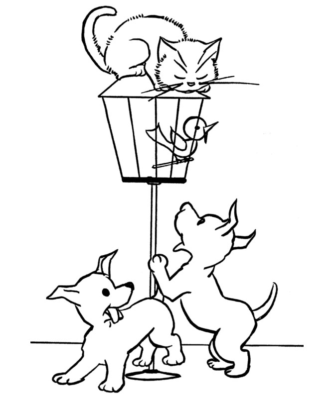 Cat Coloring Picture