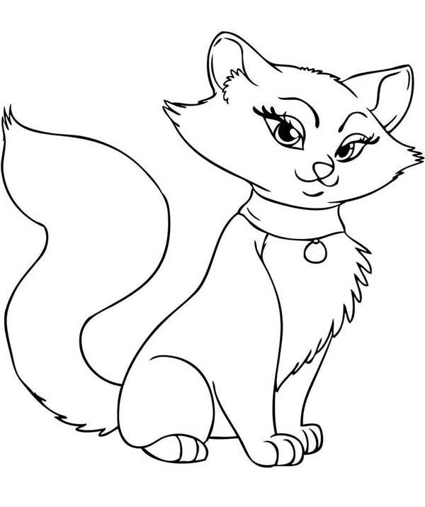 Coloring Cats Images