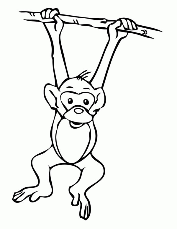 Hanging Monkeys Coloring Pages