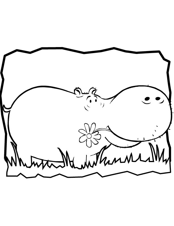 Hippo Coloring Pages For Kids