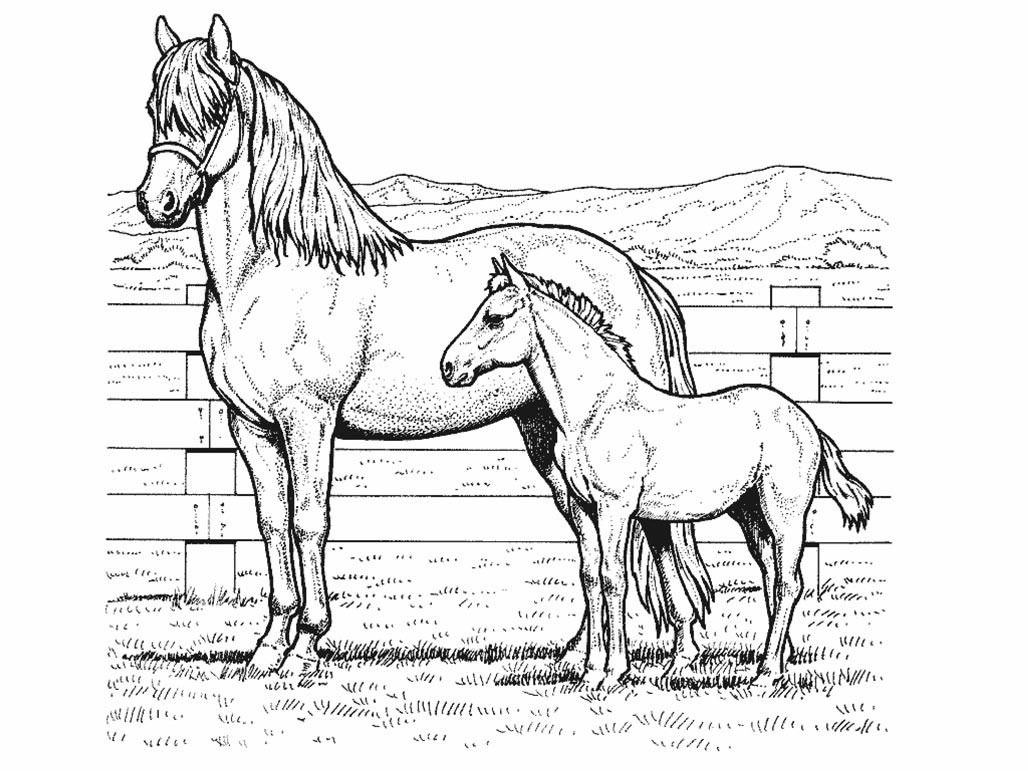 Horse Coloring Pages For Preschoolers