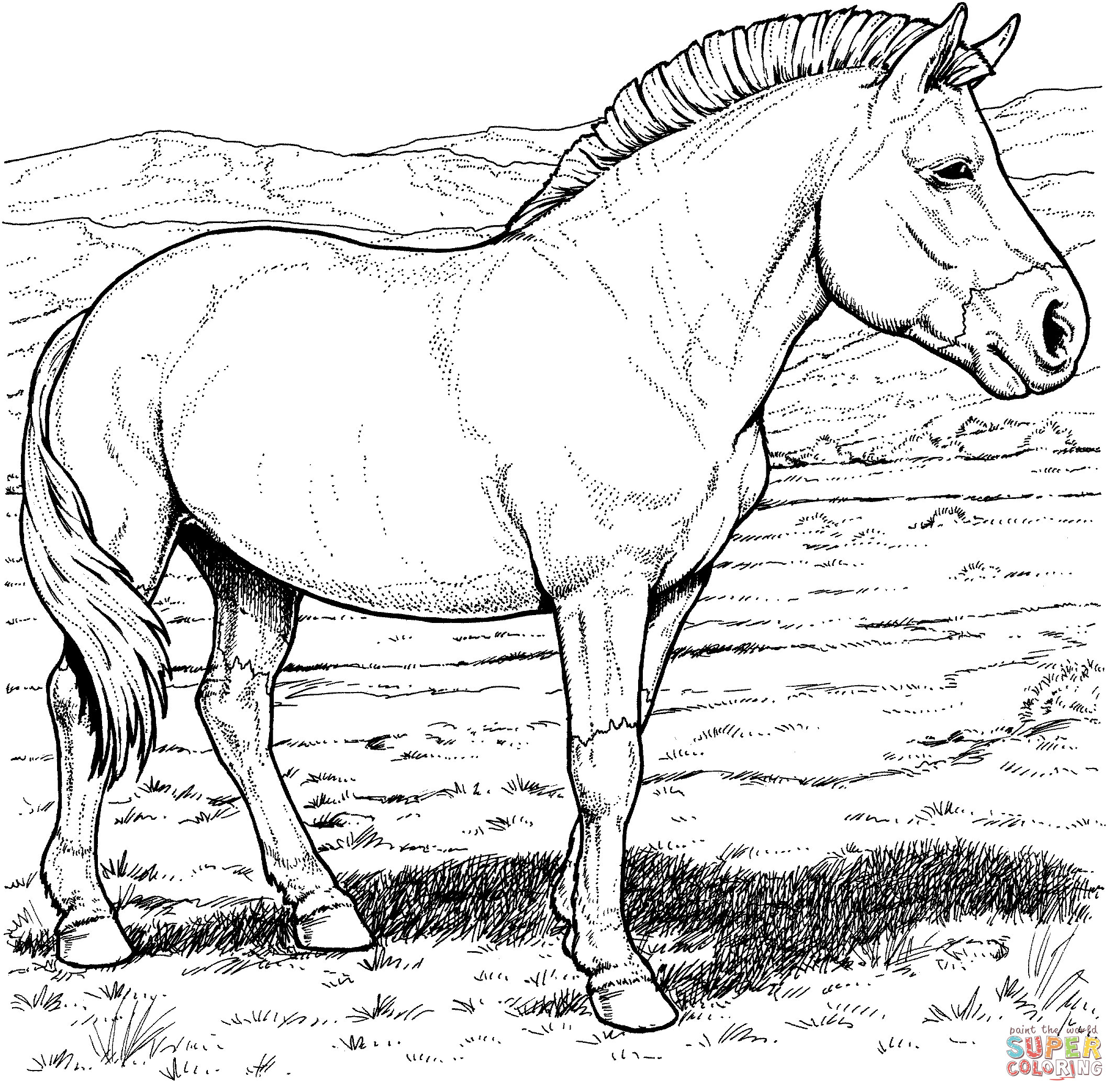 Horse Coloring Pages Free Download