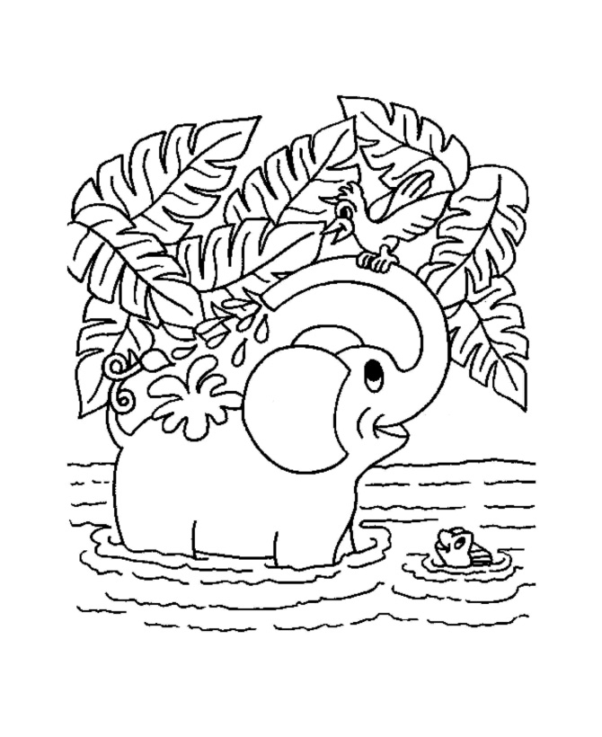 Jungle Coloring Pages For Kids