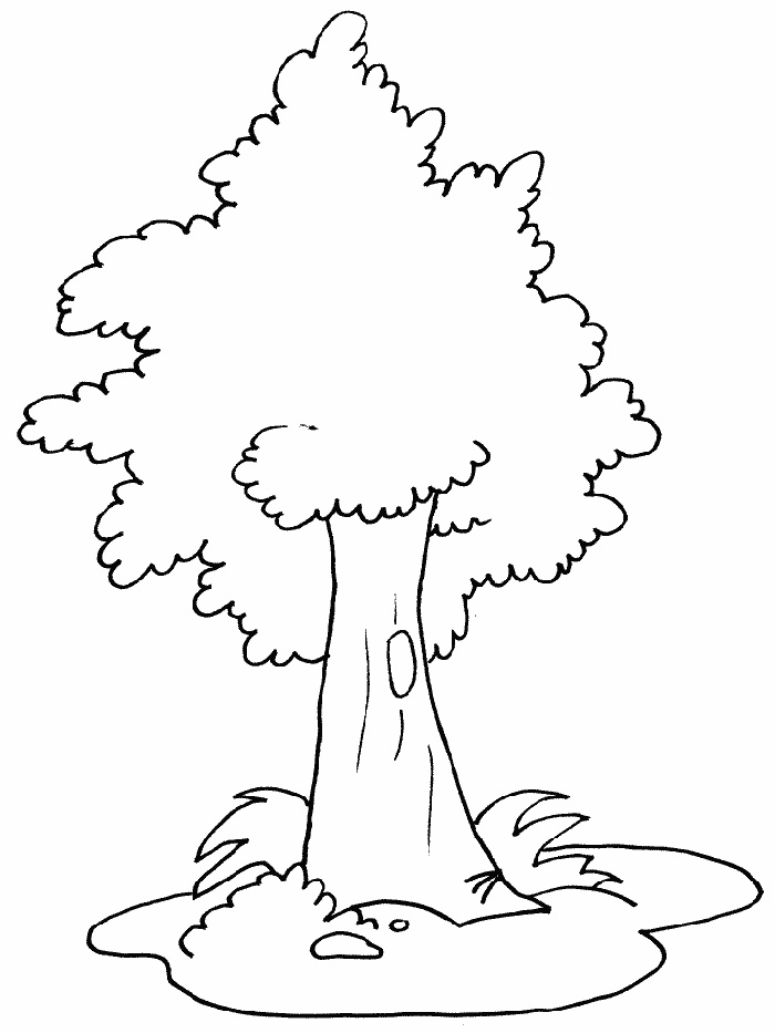 Jungle Tree Coloring Pages