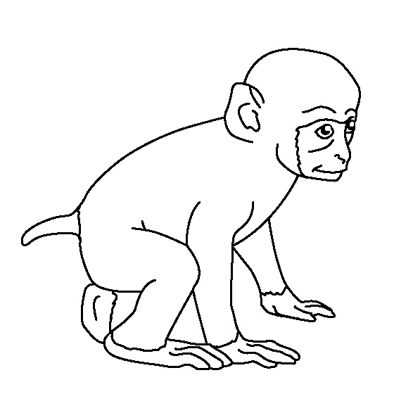 Monkey Coloring Pages To Print