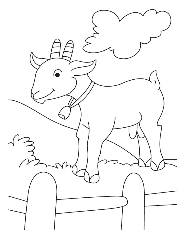 Free Cute Goat Coloring Pages Mountain
