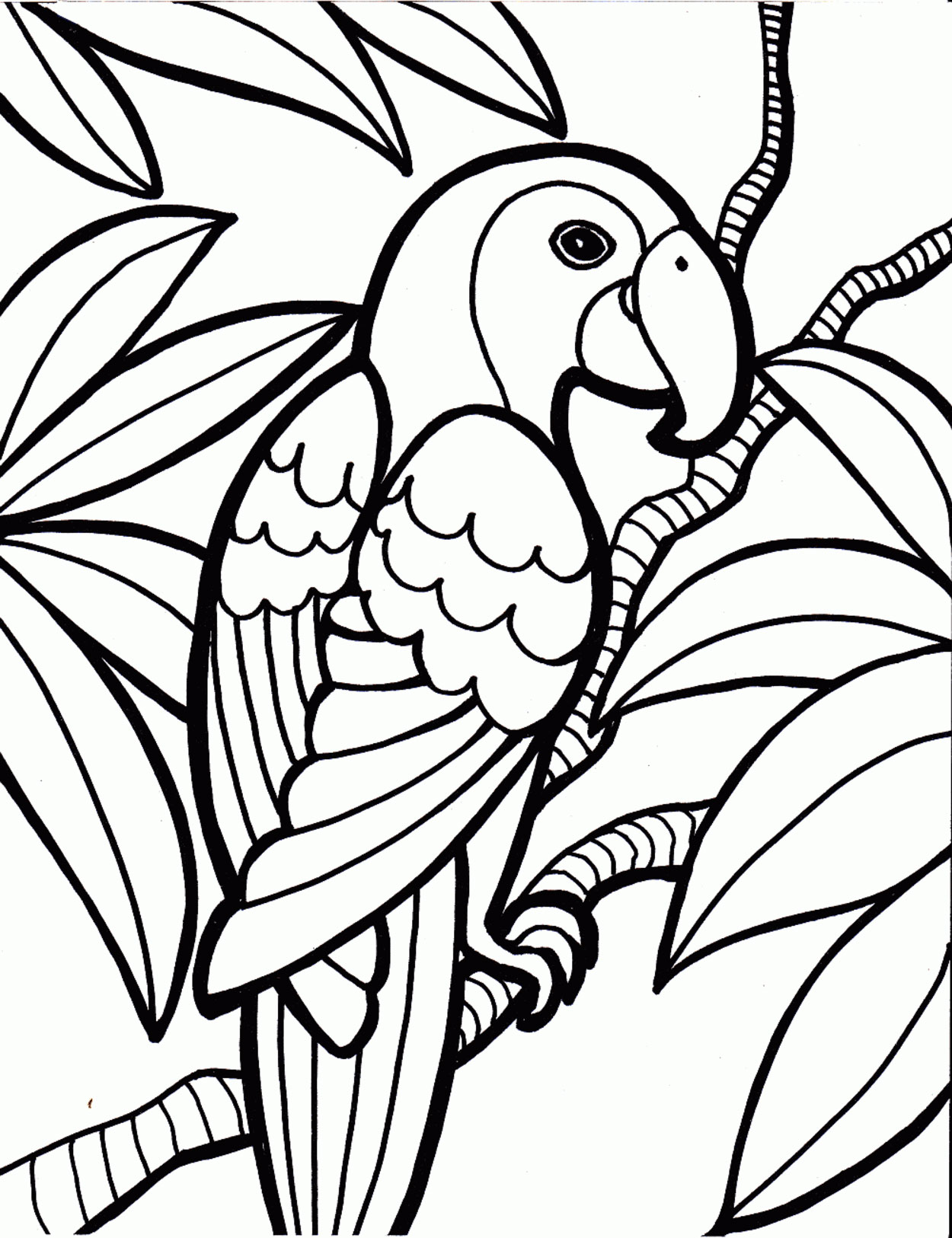 Parrot Coloring Pages - Kidsuki
