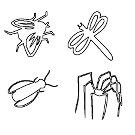 Parts Of An Insect Coloring Pages