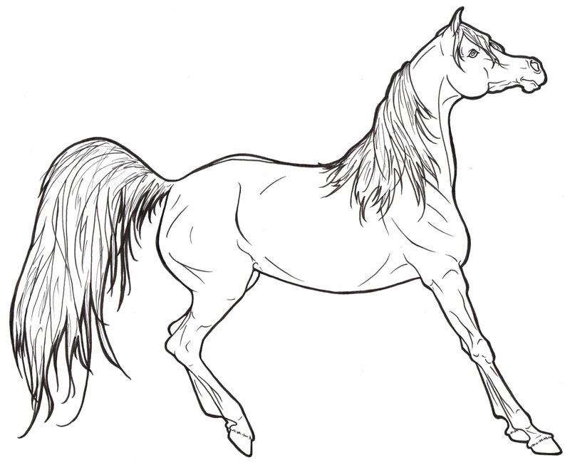 Featured image of post Realistic Hard Horse Coloring Pages : Enjoy these horse videos for kids to watch on youtube today were.