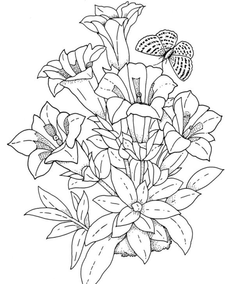 Flower Coloring Pages For Adults Download
