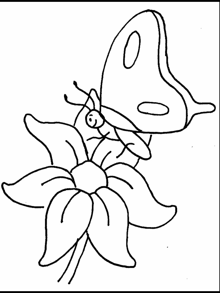 Flower And Butterflies Coloring Pages