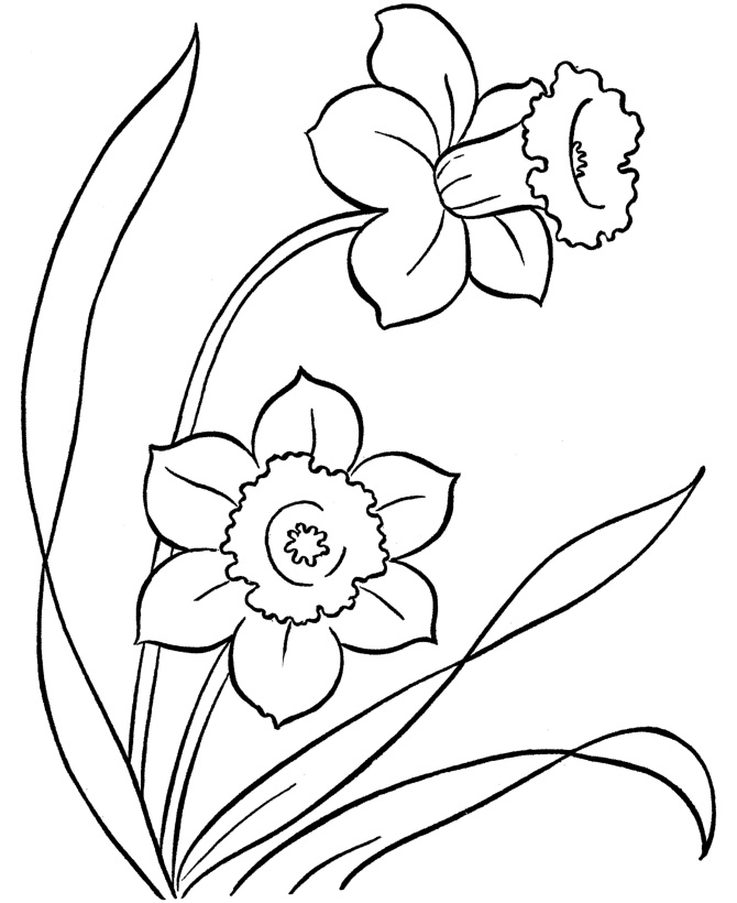 Flower Coloring Pages Free Printables