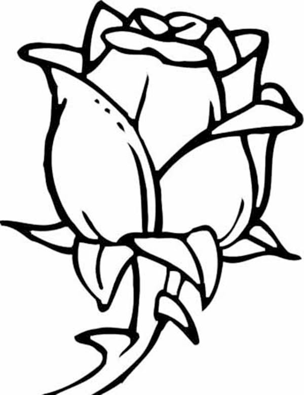 Flower Coloring Pages Rose