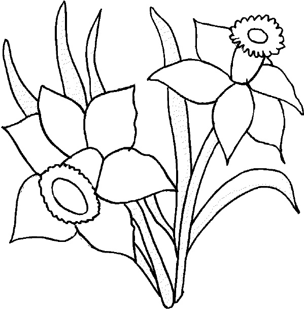 Flower Coloring Pages To Print