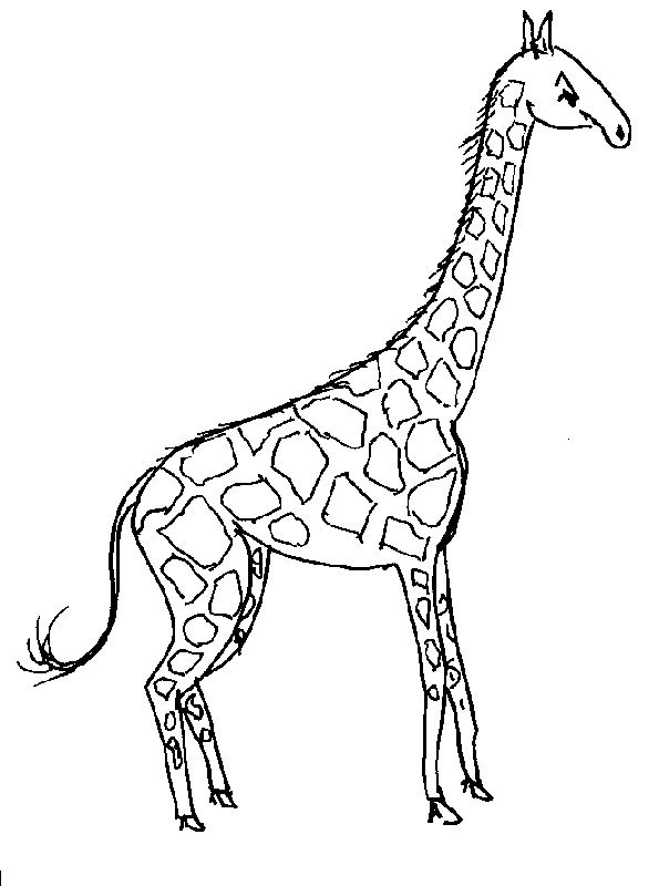 Giraffe Coloring Pages Free