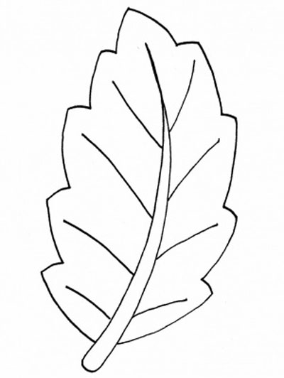 Leaves Coloring Pages Free Download