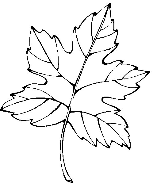 Spring Leaves Coloring Pages