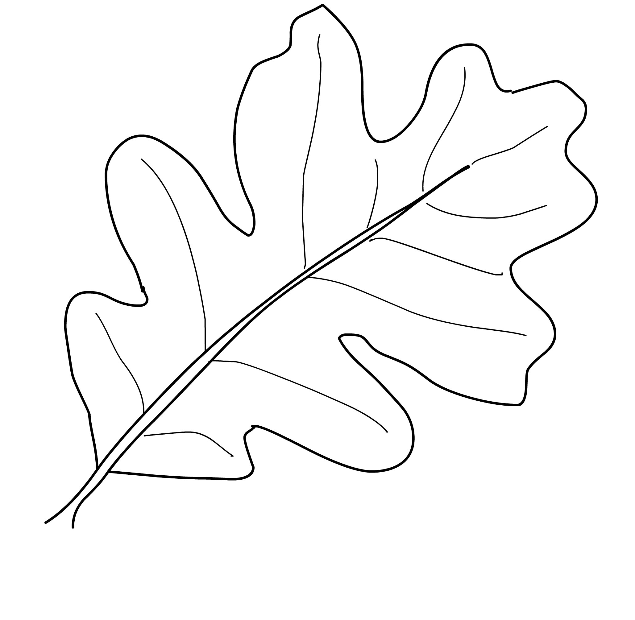 Leaves Coloring Pages Download