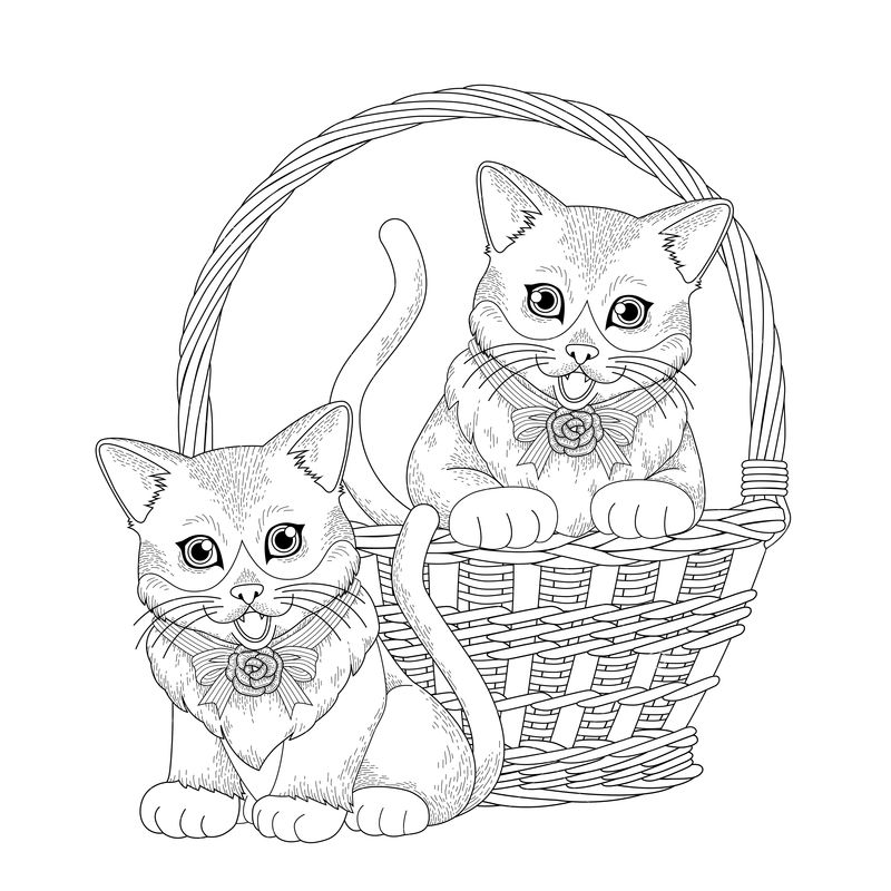 Adorable Kitty Coloring Pages