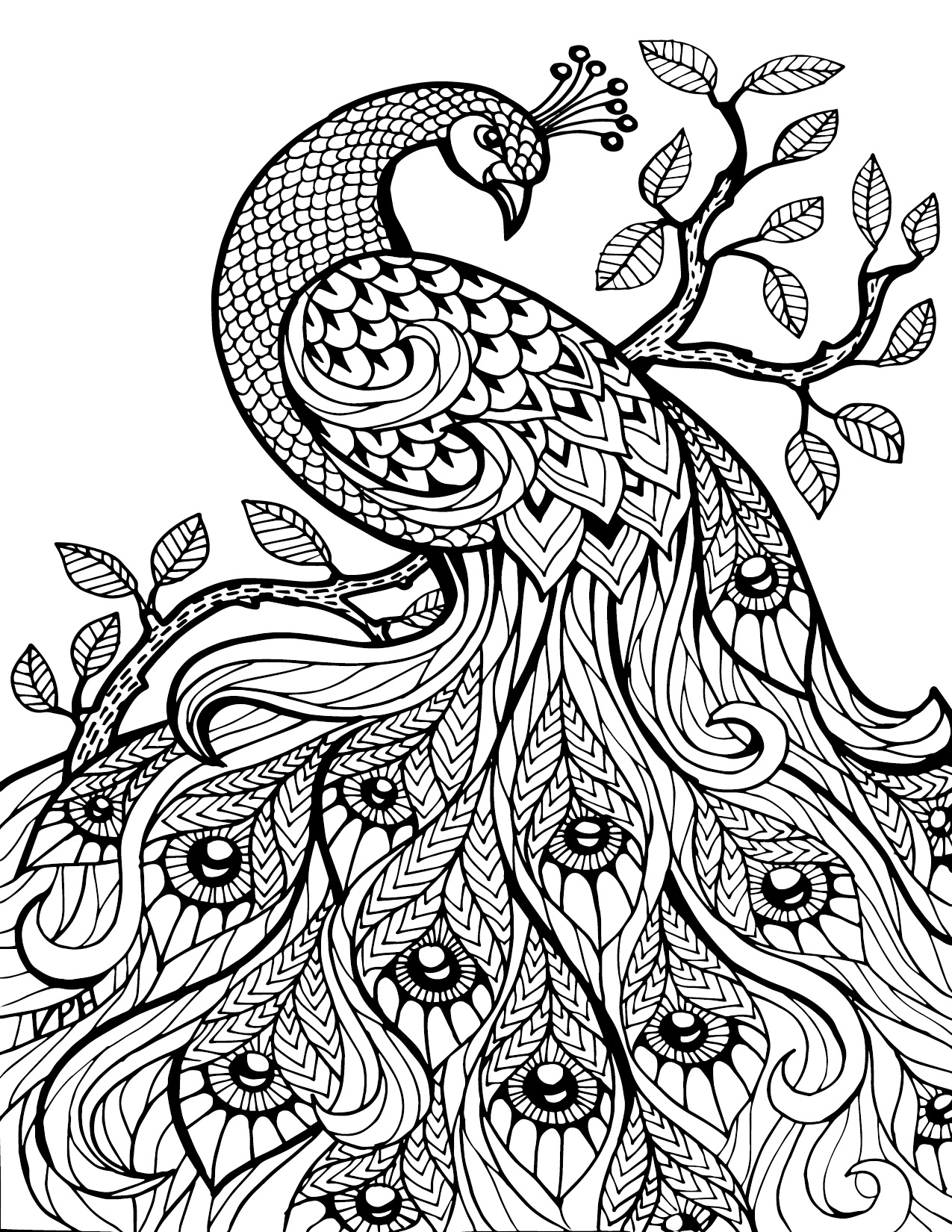 free-download-adult-coloring-pages