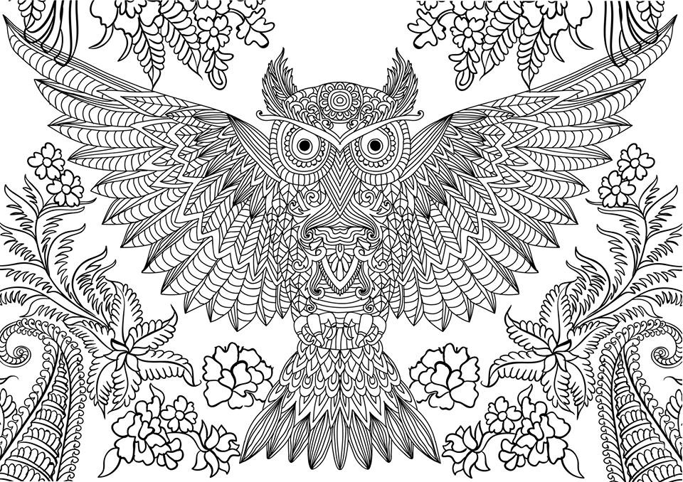 Hard Coloring Pages Of Owls 1