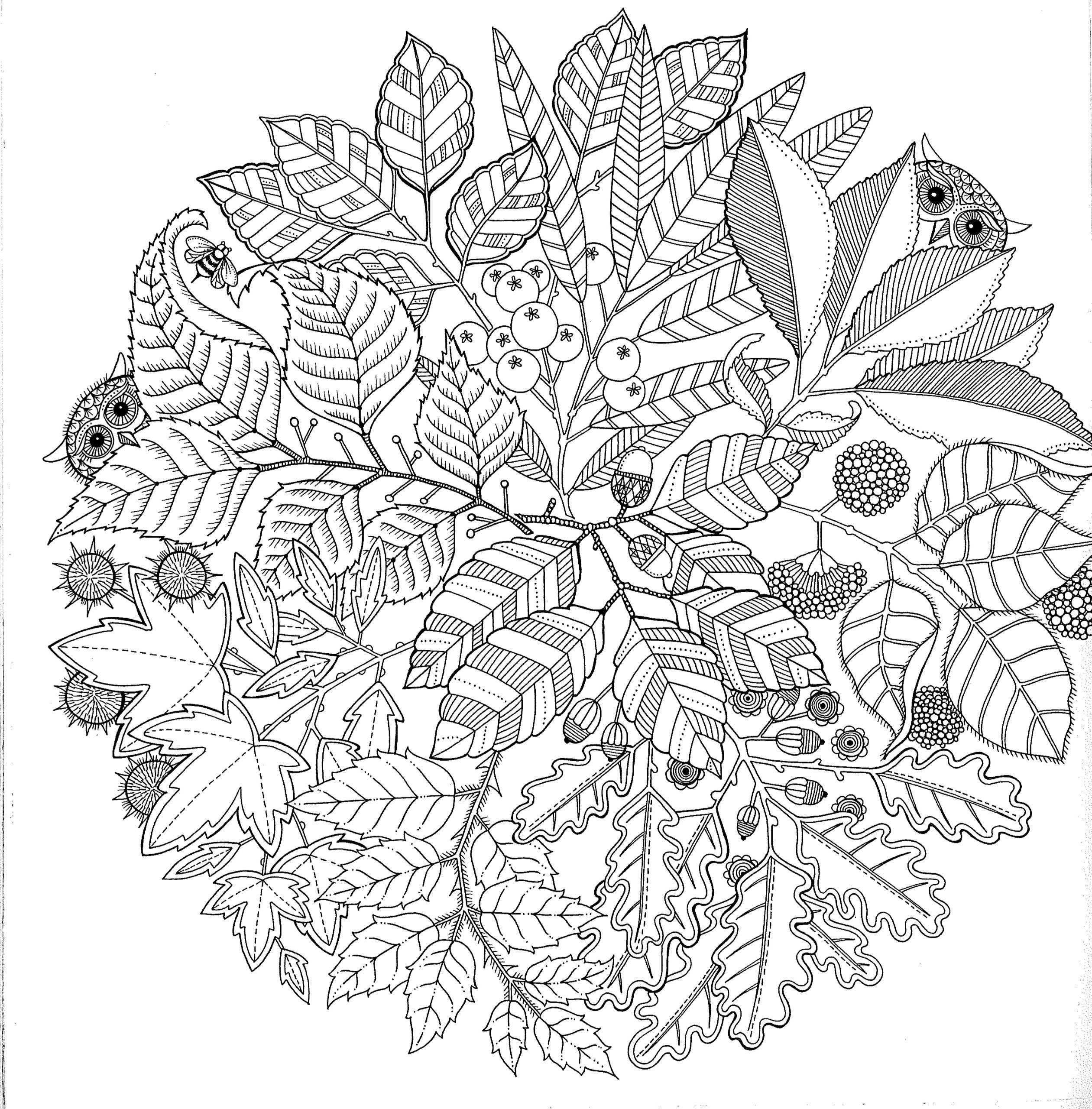 Coloring Pages Abstract