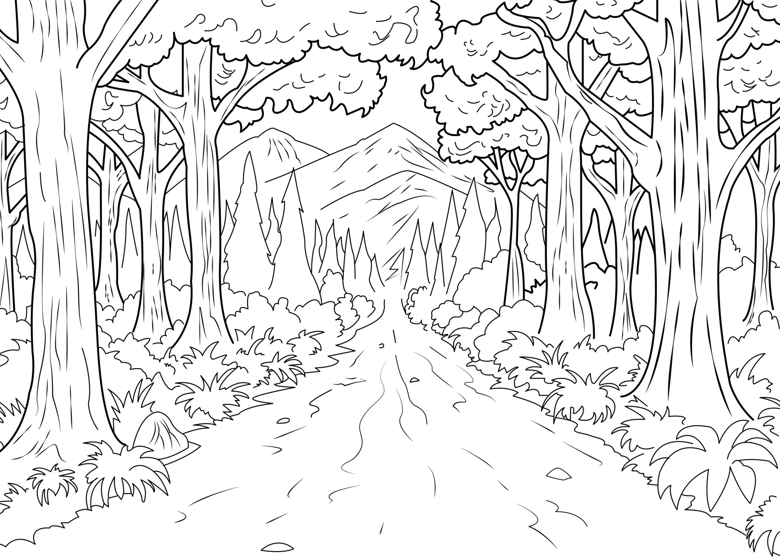 Nature Gallery Coloring Pages for Adults