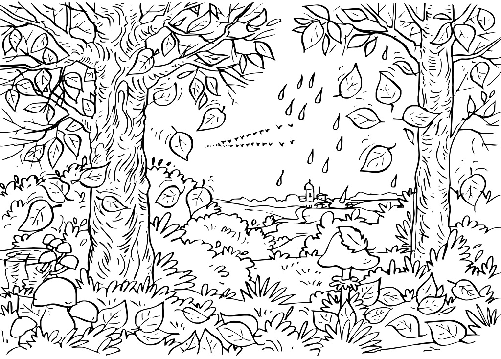 Coloring Pages For Adults Abstract Nature