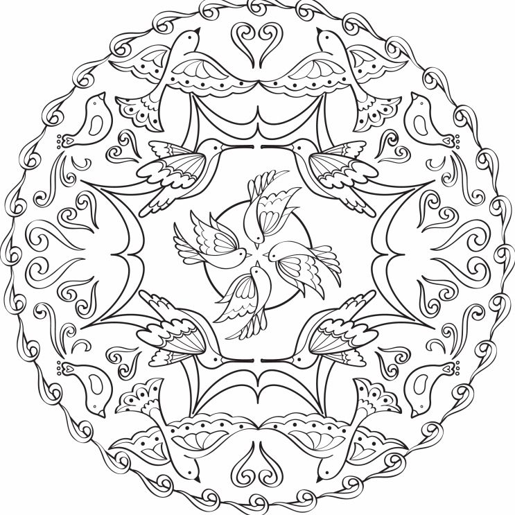 Sparrow Coloring Pages for Adults