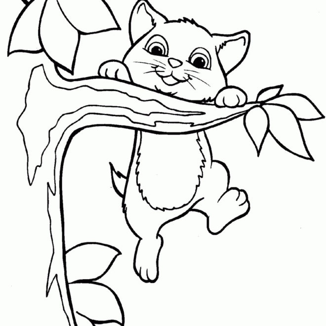 Free Cat Coloring Pages