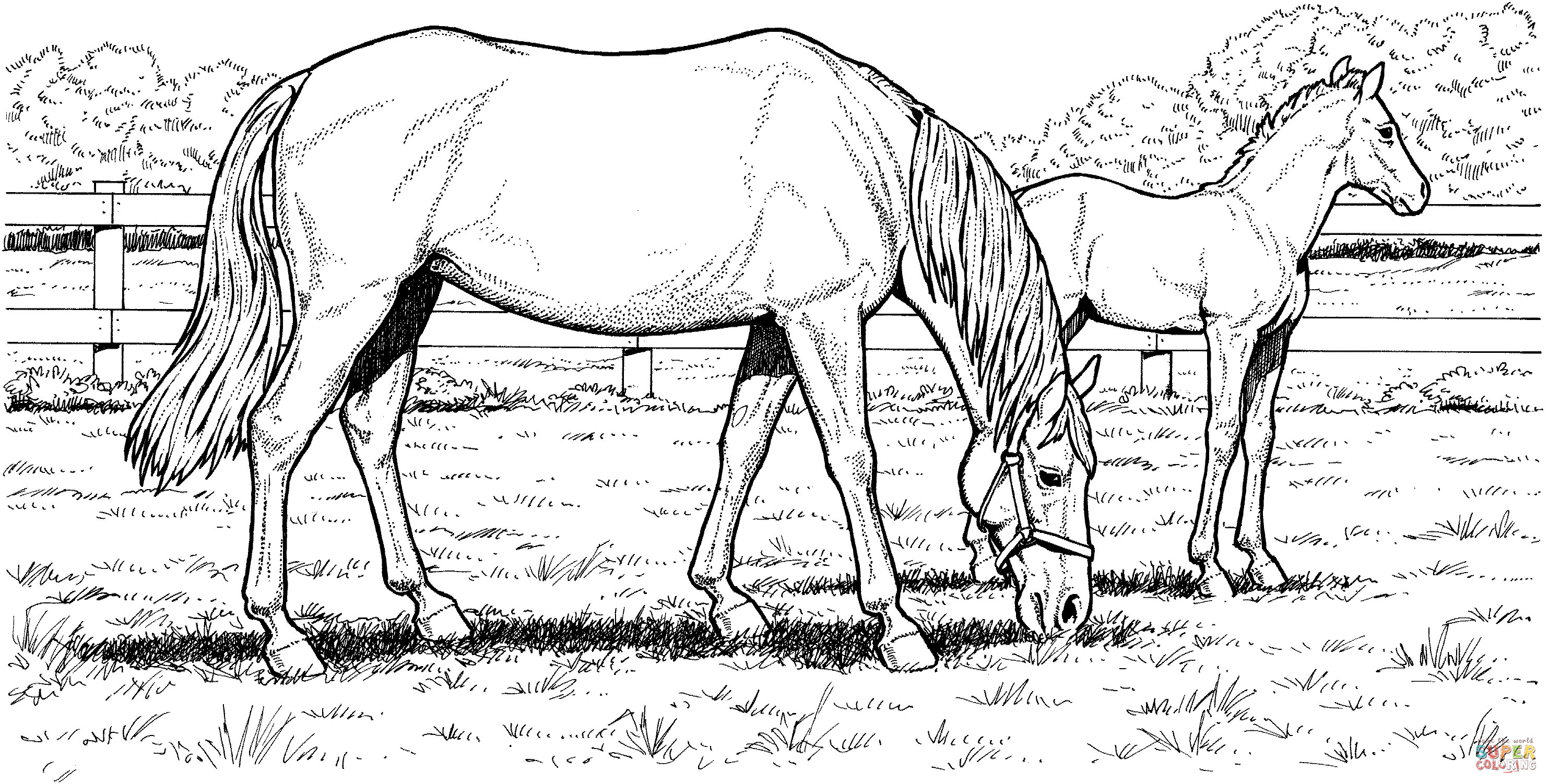 Free Coloring Pages Printable Horse