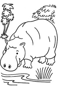 2o Awesome Jungle Coloring Pages