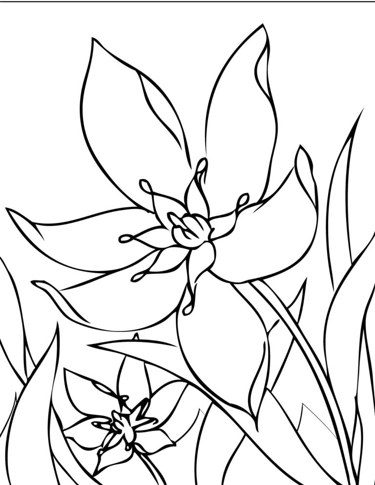 Printable Flower Coloring Pages Free