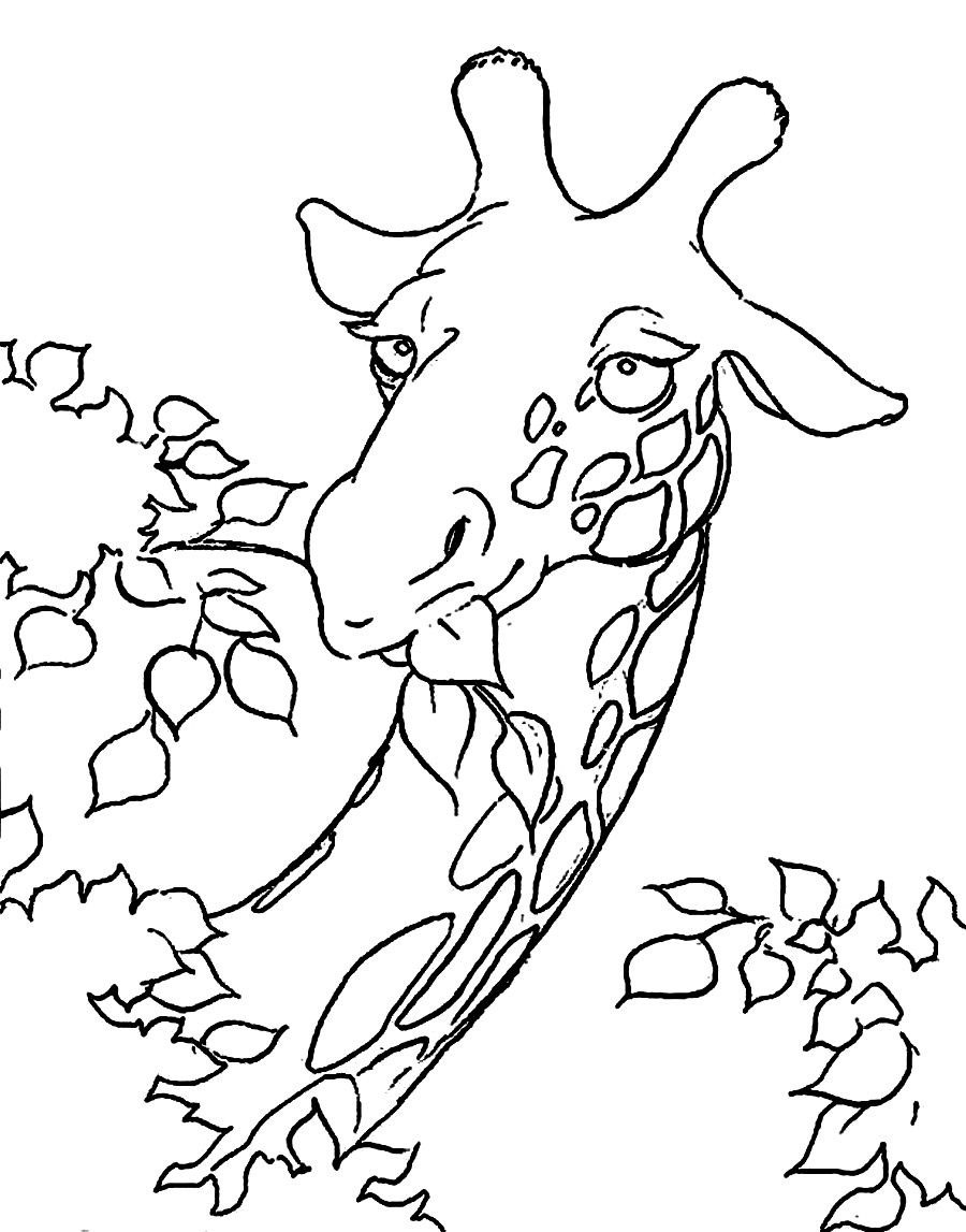 Giraffe Head Coloring Pages