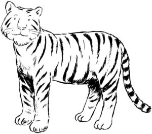 Tiger Coloring Pages For Kids Printable