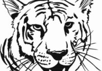 Tiger Face Coloring Pages