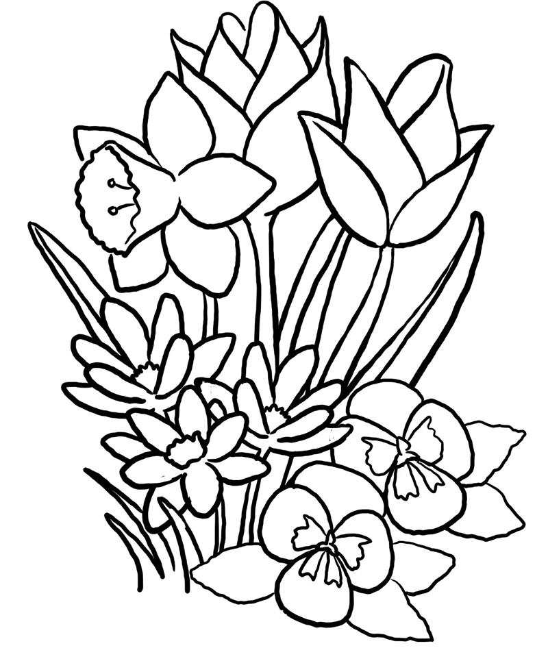 Summer Flowers Coloring Pages 10